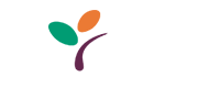 Arbo